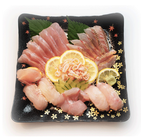 Fish Food Times 10 16 鮮魚コンサルタント樋口知康