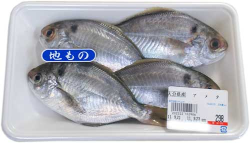 Fish Food Times 10月 11年 鮮魚コンサルタント樋口知康