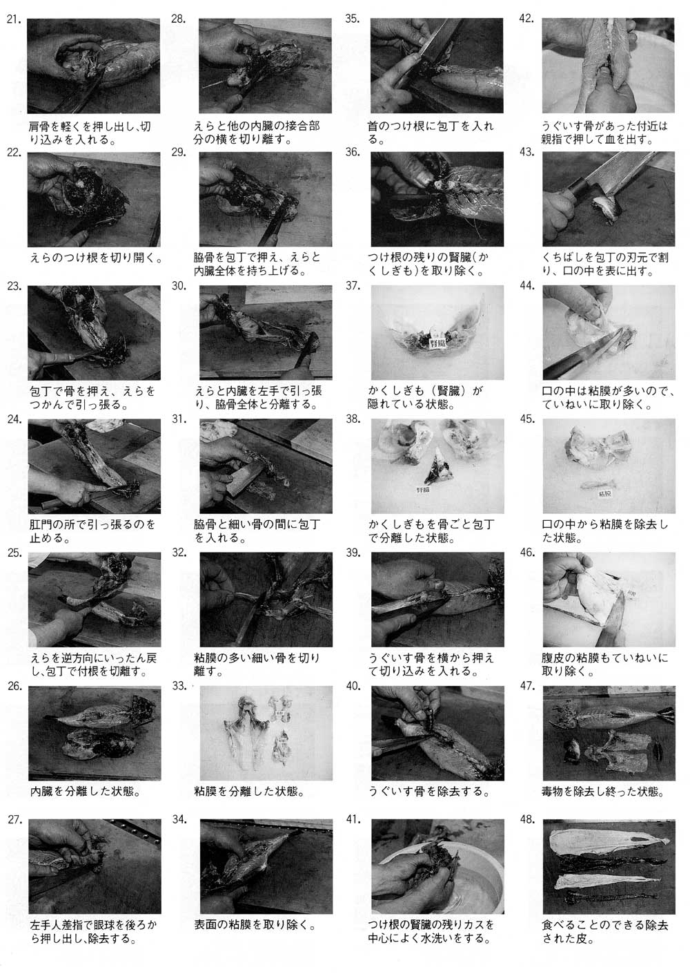 torafugukaitai2