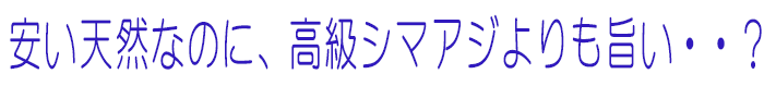�q���A�W
